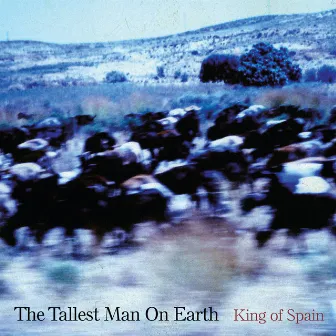 King of Spain by The Tallest Man On Earth