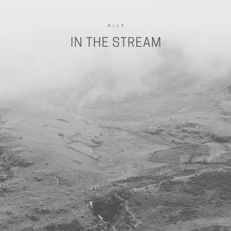 In the Stream by Alle