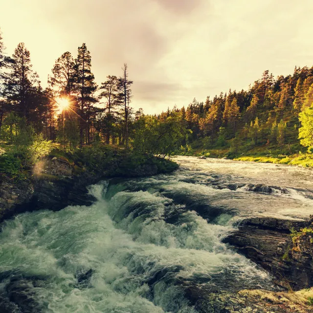 Water's Whispering Quartet: Tranquil River Harmony