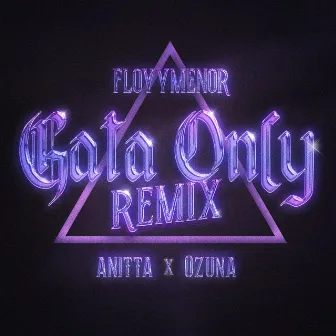 Gata Only (Remix) by FloyyMenor