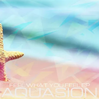 Feel What You Feel EP by Aquasion