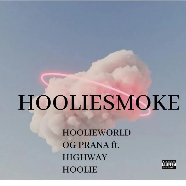 HOOLIESMOKE (timeless hits)