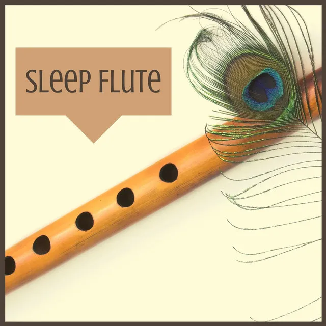 Sleep Flute: Indian Hypnotic Healing Music