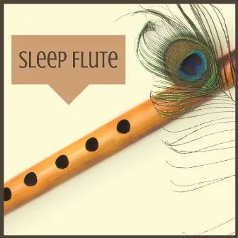 Sleep Flute: Indian Hypnotic Healing Music by Renovated Akropolis