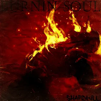 BURNIN SOUL by shardkill