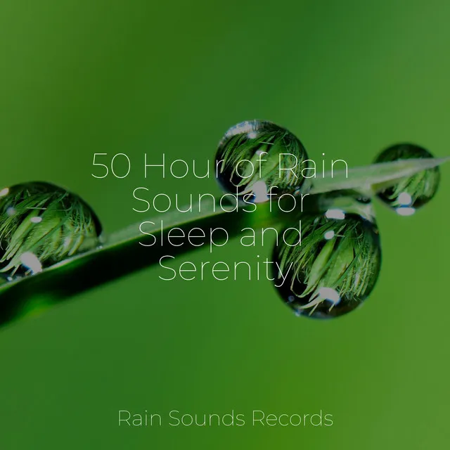 50 Hour of Rain Sounds for Sleep and Serenity