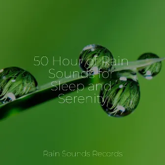 50 Hour of Rain Sounds for Sleep and Serenity by Yoga