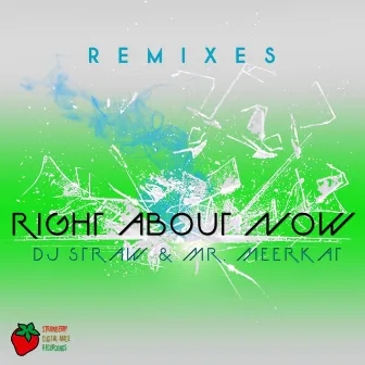 Right About Now (Remixes) by Mr Meerkat