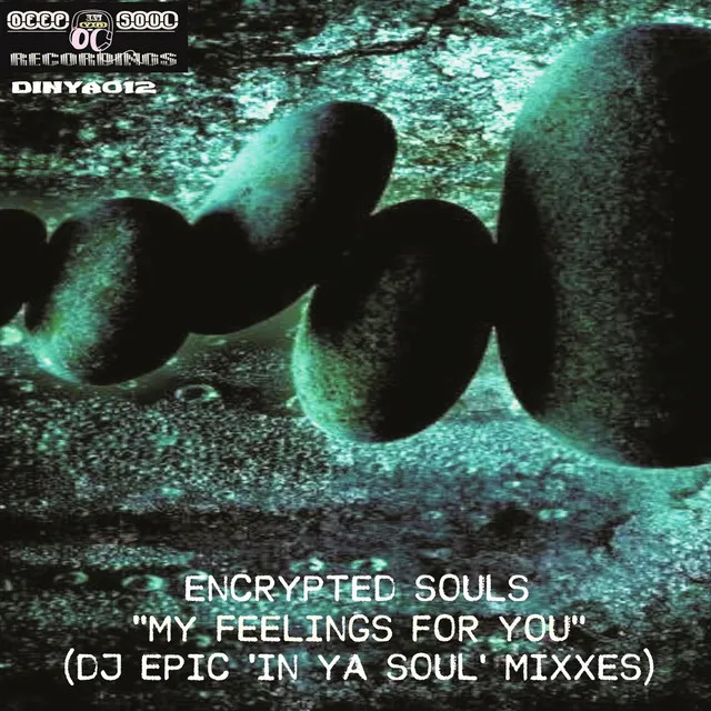 My Feelings for You - DJ Epic In Ya Soul Mixx