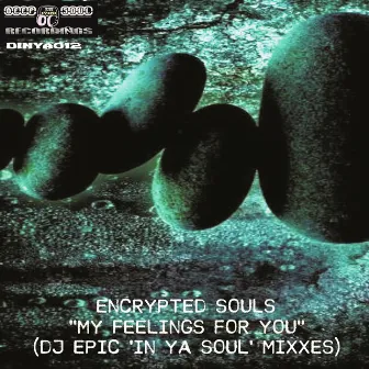 My Feelings for You (DJ Epic In Ya Soul Mixxes) by Encrypted Souls