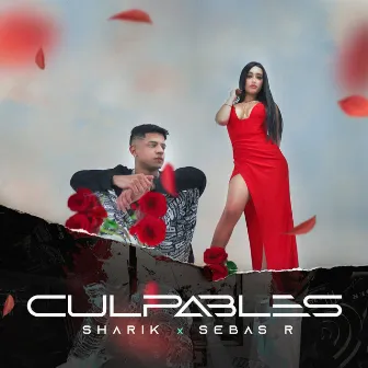 Culpables by Sharik