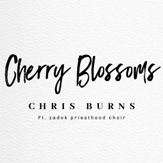 Cherry Blossoms by Chris Burns