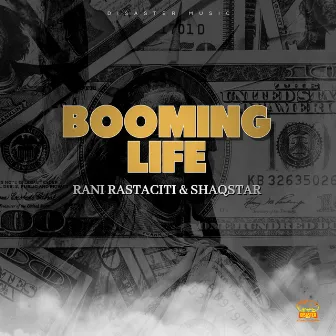 Booming Life by Rani Rastaciti