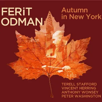 Autumn in New York by Ferit Odman