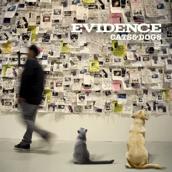 Cats & Dogs by Evidence