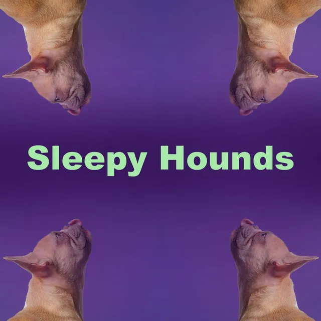 Sleepy Hounds