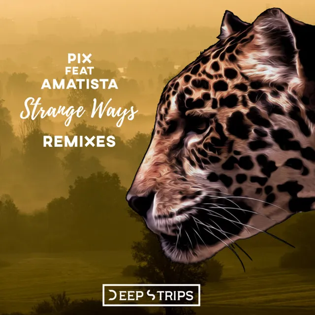 Strange Ways - Samuel Reeve Remix