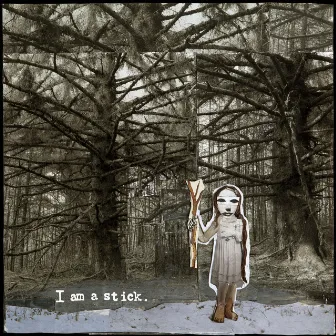 I Am a Stick by Baby Dee