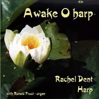 Awake O Harp by Rachel Dent