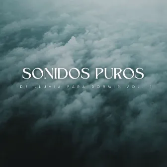 Sonidos Puros De Lluvia Para Dormir Vol. 1 by Ondas alfa durmientes