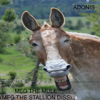 Meg the Mule (Meg the Stallion Diss) by Adonis