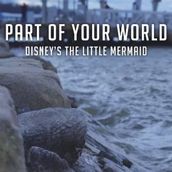 Part of Your World (From Disney's 