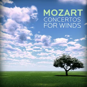 Mozart: Concertos for Winds by Württemberg Chamber Orchestra