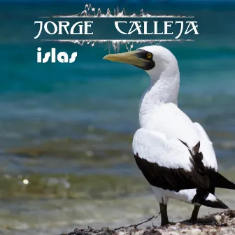 Islas by Jorge Calleja