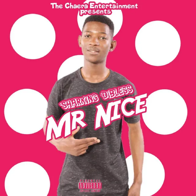 Mr Nice