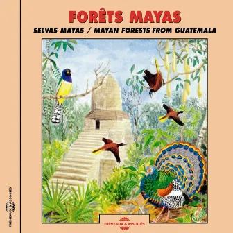 Forêts Maya (Mayas Forests from Guatemala) by Frémeaux Nature