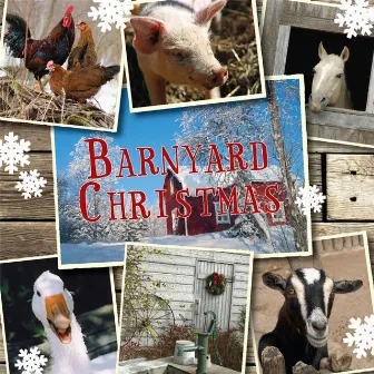 A Barnyard Christmas - The Animals Wish You A Merry Christmas! by Carol Cattle