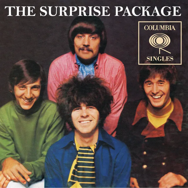 The Surprise Package