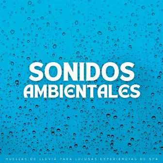 Sonidos Ambientales: Huellas De Lluvia Para Lujosas Experiencias De Spa by Increíble experiencia de spa