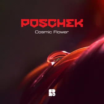 Cosmic Flower by Poschek