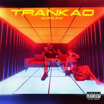 TRANKAO by Amaak