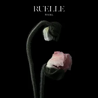 Rival by Ruelle