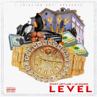 Level by Stizzy Leftlane