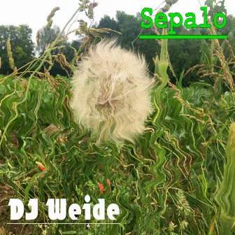 Sepalo by DJ Weide