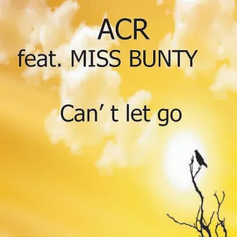 Can't Let Go by Miss Bunty