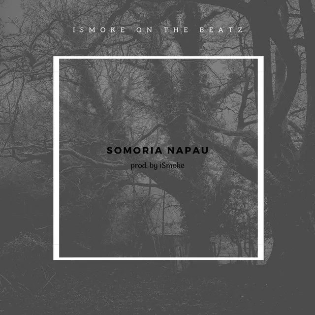 Somoria Napau