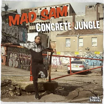 Concrete Jungle by Mad Sam