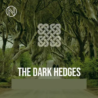 The Dark Hedges by Winston Green