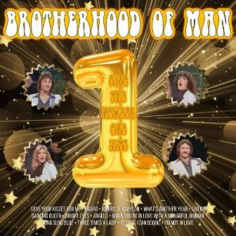 Sing Number the One Hits by Brotherhood of Man