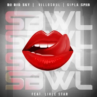 SBWL (feat. LIHLE STAR) by DJ Big Sky