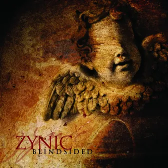 Blindsided by Zynic