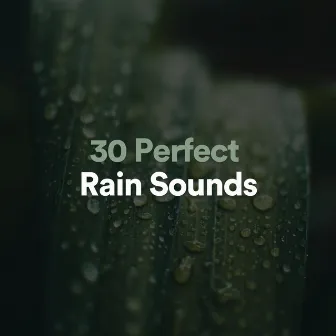 30 Perfect Rain Sounds by Thunderstorm