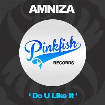 Do U Like It by Amniza