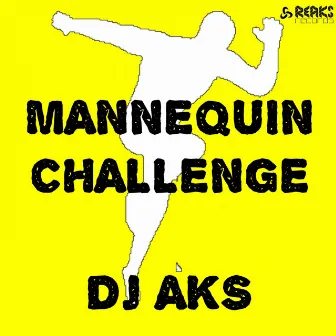 Mannequin Challenge by Dj Aks