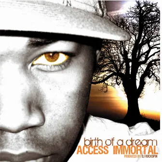 Birth Of A Dream by Access Immortal