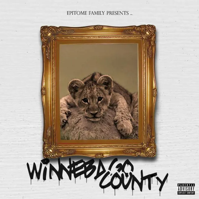 Winnebago County: 2013 (The Mixtape)